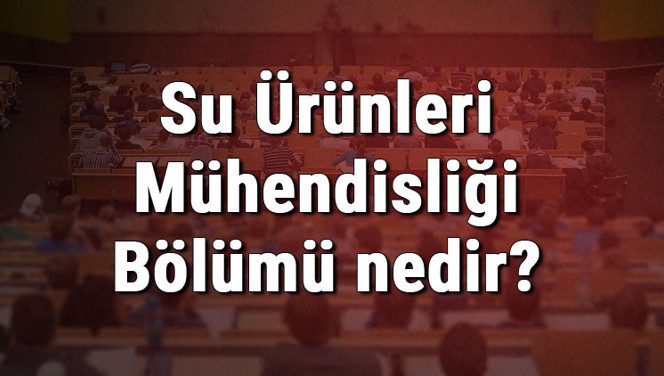 Su Ürünleri Mühendisliği Bölümü nedir ve mezunu ne iş yapar? Bölümü olan üniversiteler, dersleri ve iş imkanları Su Ürünleri Mühendisliği Bölümü nedir ve mezunu ne iş yapar? Bölümü olan üniversiteler, dersleri ve iş imkanları
