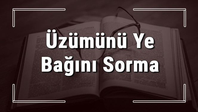 Üzümünü Ye Bağını Sorma atasözünün anlamı ve örnek cümle içinde kullanımı (TDK)