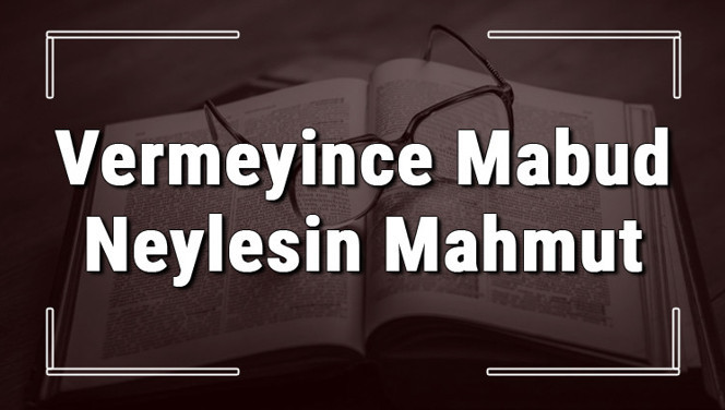 Vermeyince Mabud Neylesin Mahmut atasözünün anlamı ve örnek cümle içinde kullanımı (TDK)