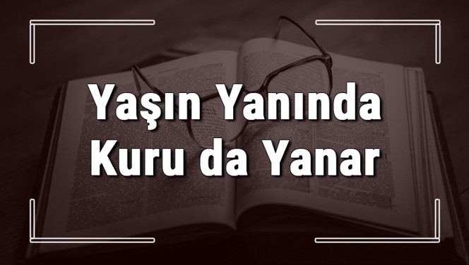 Yaşın Yanında Kuru da Yanar atasözünün anlamı ve örnek cümle içinde kullanımı (TDK)