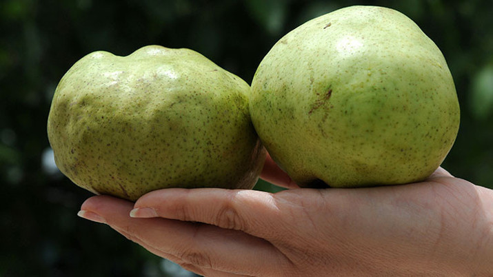 6 yöresel ürün daha coğrafi işaret aldı