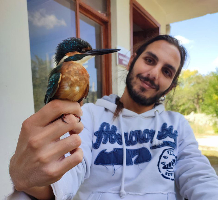 Havai fişekler yasaklansın kuşlar ölmesin