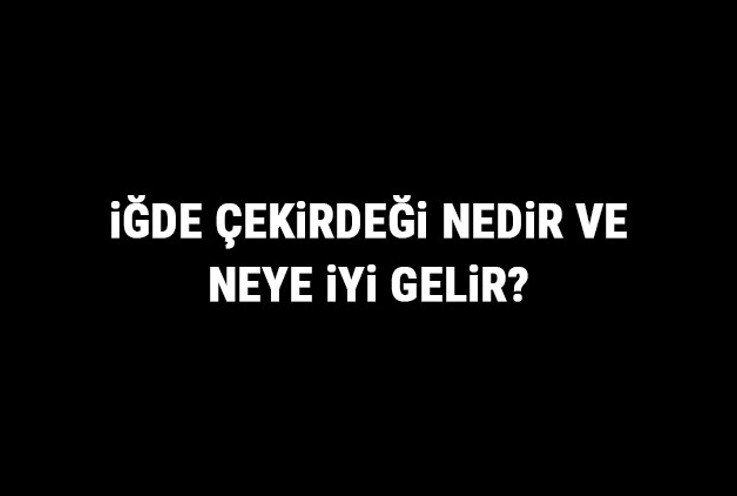 İğde Çekirdeği Nedir Ve Neye İyi Gelir? İğde Çekirdeği Faydaları