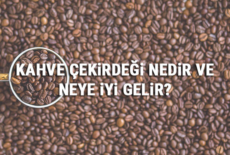 Kahve Çekirdeği Nedir Ve Neye İyi Gelir? Kahve Çekirdeği Faydaları