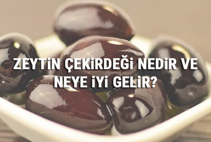 Zeytin Çekirdeği Nedir Ve Neye İyi Gelir? Zeytin Çekirdeği Faydaları
