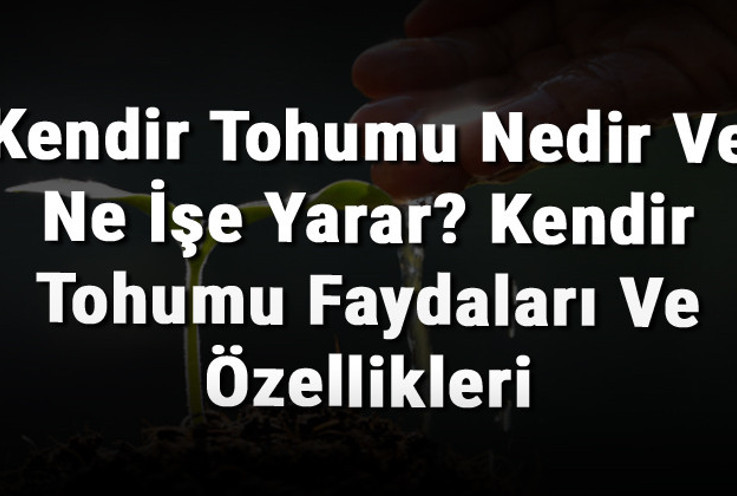 Kendir Tohumu Nedir Ve Ne İşe Yarar? Kendir Tohumu Faydaları Ve Özellikleri