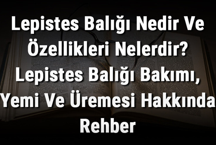 Lepistes Balığı Nedir Ve Özellikleri Nelerdir? Lepistes Balığı Bakımı, Yemi Ve Üremesi Hakkında Rehber