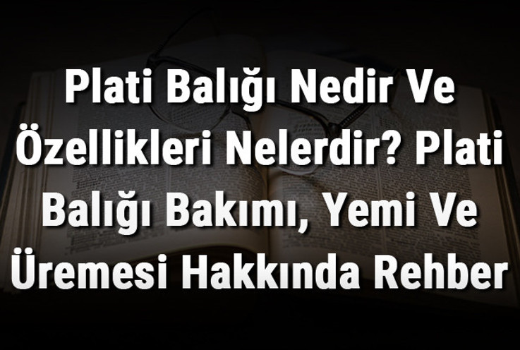 Plati Balığı Nedir Ve Özellikleri Nelerdir? Plati Balığı Bakımı, Yemi Ve Üremesi Hakkında Rehber