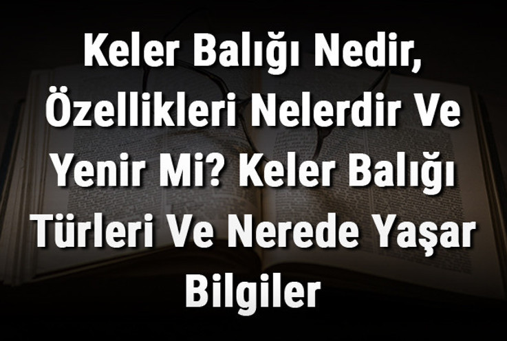 Keler Balığı Nedir, Özellikleri Nelerdir Ve Yenir Mi? Keler Balığı Türleri Ve Nerede Yaşar Bilgiler