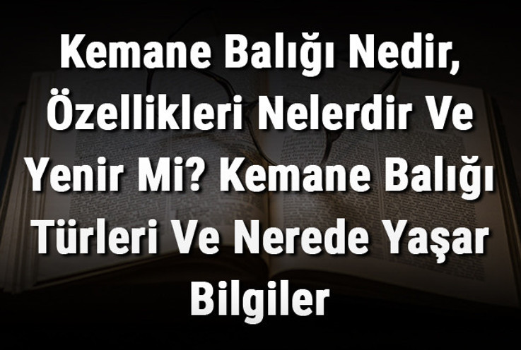 Kemane Balığı Nedir, Özellikleri Nelerdir Ve Yenir Mi? Kemane Balığı Türleri Ve Nerede Yaşar Bilgiler