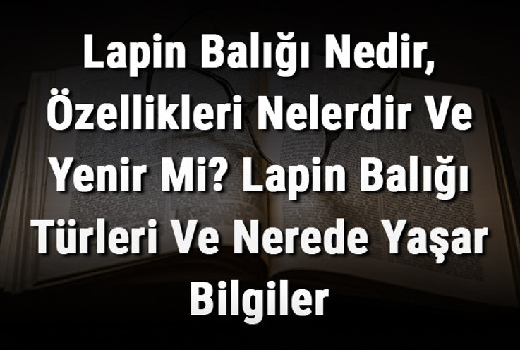Lapin Balığı Nedir, Özellikleri Nelerdir Ve Yenir Mi? Lapin Balığı Türleri Ve Nerede Yaşar Bilgiler