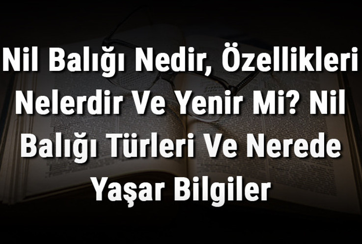 Nil Balığı Nedir, Özellikleri Nelerdir Ve Yenir Mi? Nil Balığı Türleri Ve Nerede Yaşar Bilgiler
