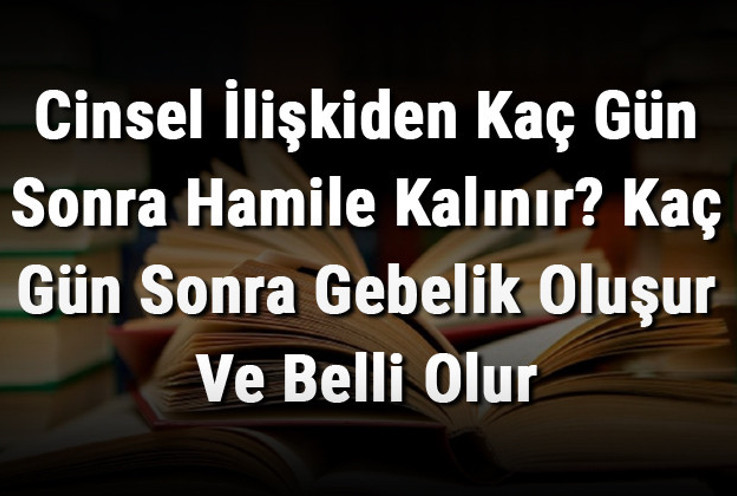 Cinsel İlişkiden Kaç Gün Sonra Hamile Kalınır? Kaç Gün Sonra Gebelik Oluşur Ve Belli Olur