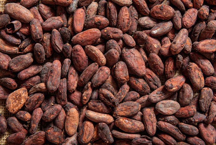 Sıcak çikolata, granola, tost... Kış depresyonunu uzaklaştırmak için yiyebileceğiniz ve içebileceğiniz 6 şey