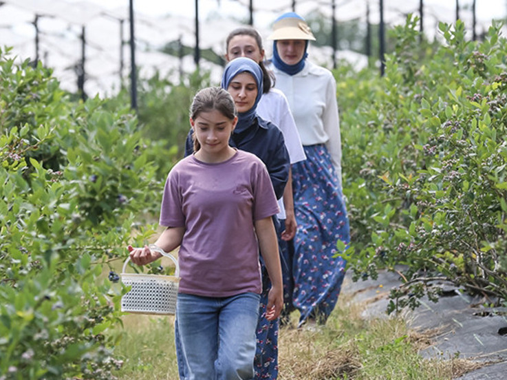Köye dönüş yaptılar, şimdi dünya pazarına ürün satıyorlar