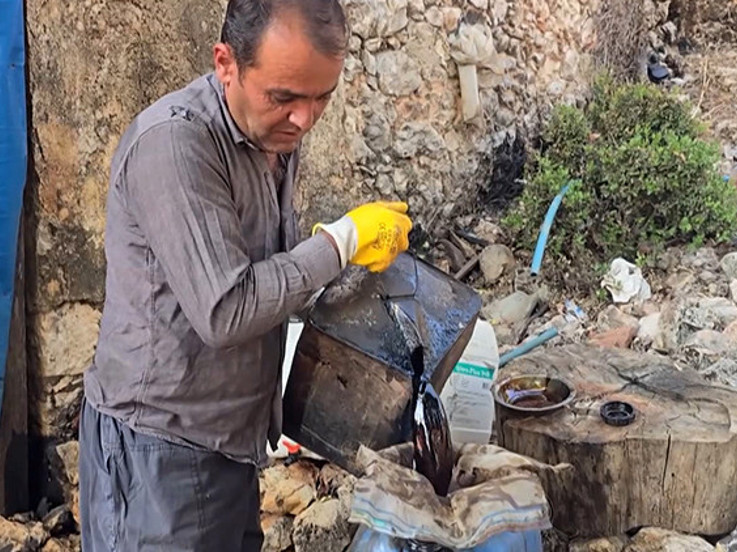 Dağdan topluyor, varilde işliyor: Kilosu 1000 liraya satılıyor