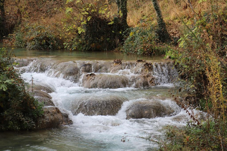 Bir tatlı huzur almaya gittik