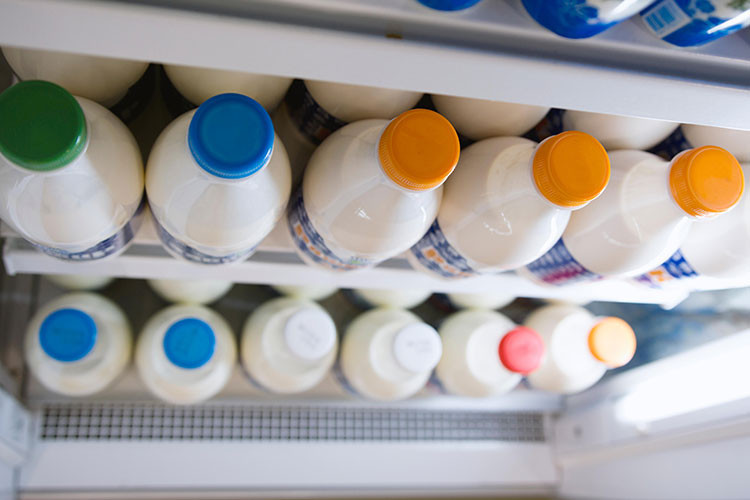 SÜT VE SÜT ÜRÜNLERİ