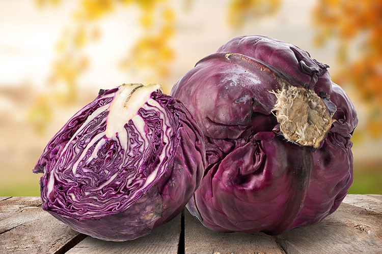 LAHANA VE KARNABAHAR