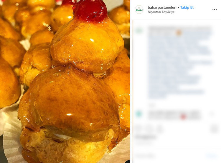 Bahar Pastanesi, Teşvikiye