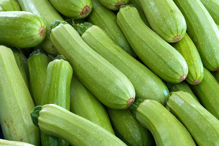 AĞUSTOS