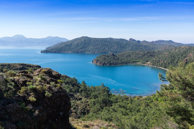 Bördübet / Muğla