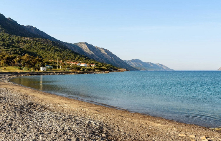 Tisan Koyu / Mersin
