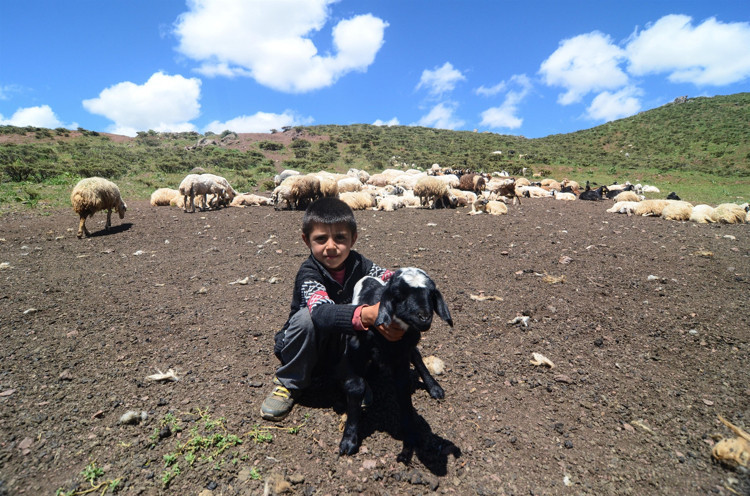 Yaşamlarını çadırlarda sürdürüyorlar