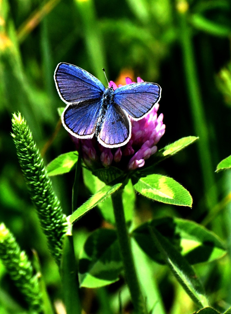 Çoban, şunları kaydetti: