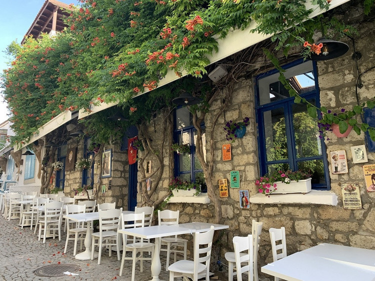 ALAÇATININ GÖLGEDEKİ ZENGİNLİĞİ