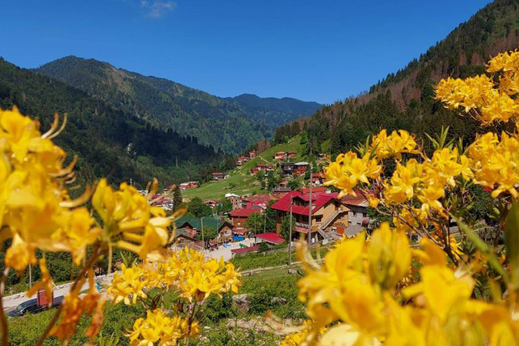 Ayder Yaylası