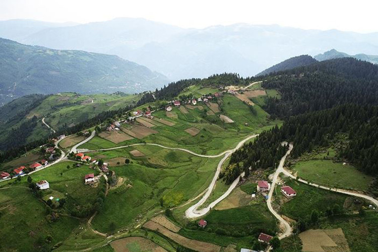 Çambaşı Yaylası