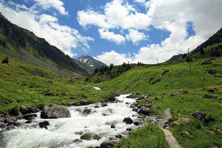 Elevit Yaylası
