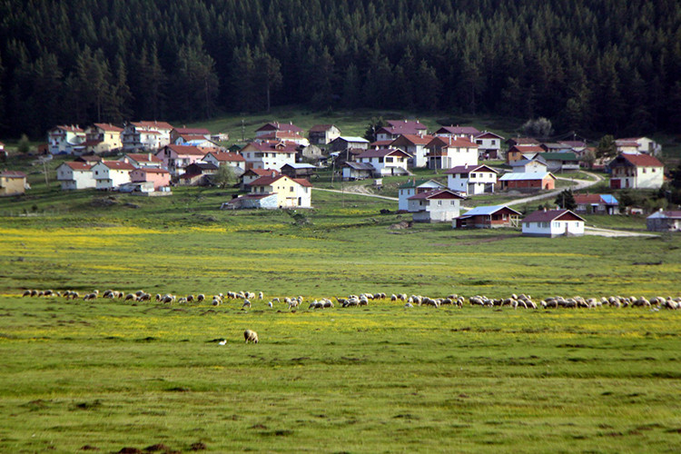 Sarıalan Yaylası