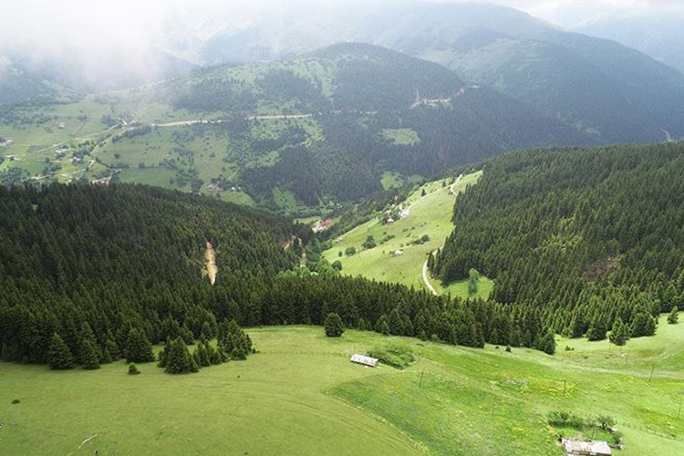 Kümbet Yaylası