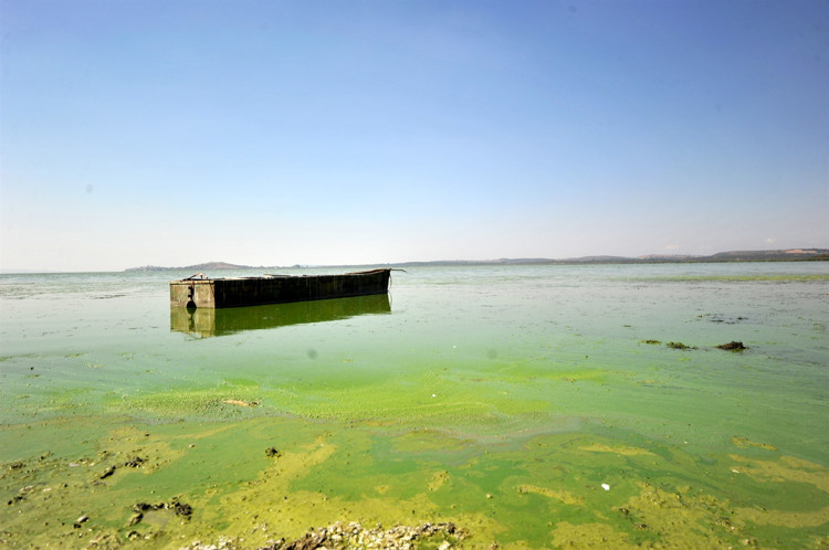 İNSAN KAYNAKLI FAKTÖRLER BU SÜRECİ HIZLANDIRIYOR