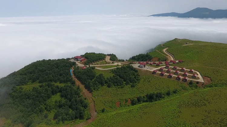 PANDEMİDEN KAÇANLARDAN YAYLAYA AKIN