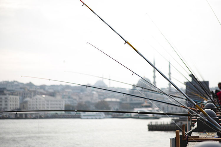 Sürdürebilirlik için balık boyutları önemli: “Daha küçükleri satılmamalı, satın alınmamalı”