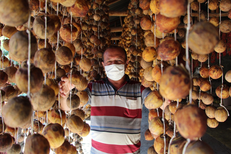 EN FAZLA OLDUĞU YER DENİZLİ HONAZDIR