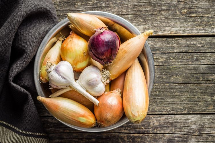 Soğanlar zeminle temas etmemeli