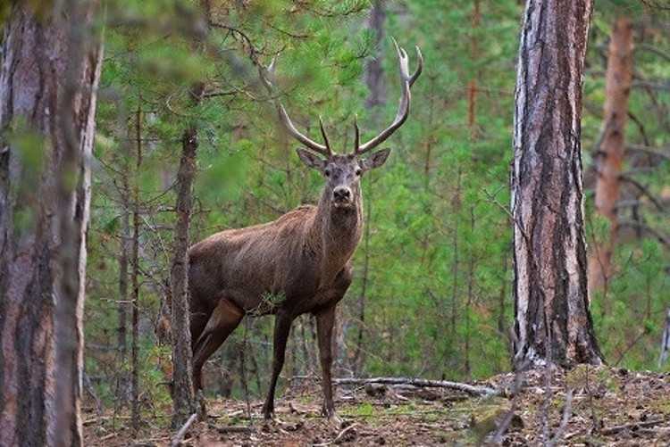 ‘ÇEKİMLER 25 GÜN SÜRDÜ’