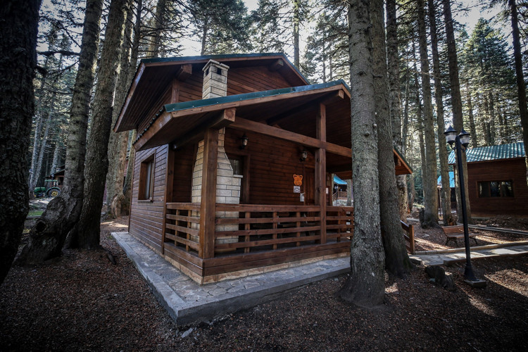 Yeni sezondan umutluyuz