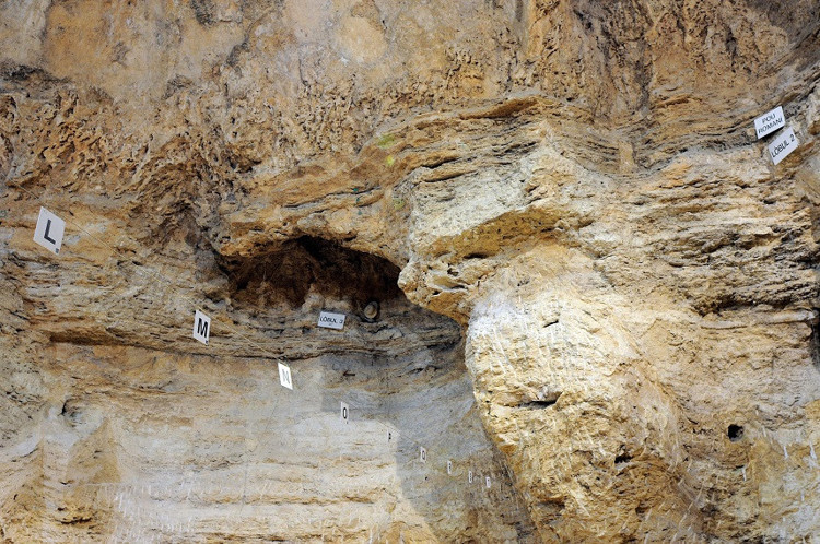 Denisovalılar aramızda