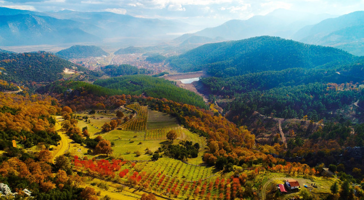 SU KUŞLARI GÖZLEMİ