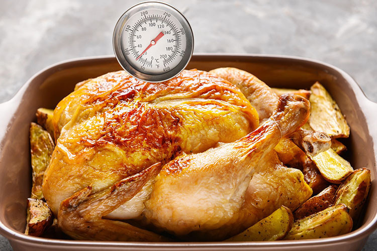 Et termometresi kullanın