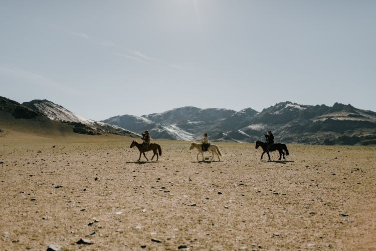Çölde kar yağışı, Cezayir, 2018