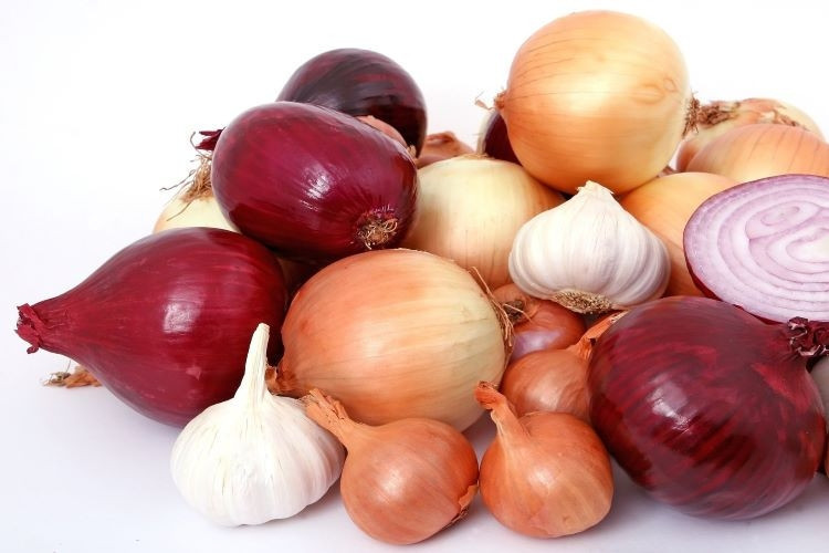 Soğan