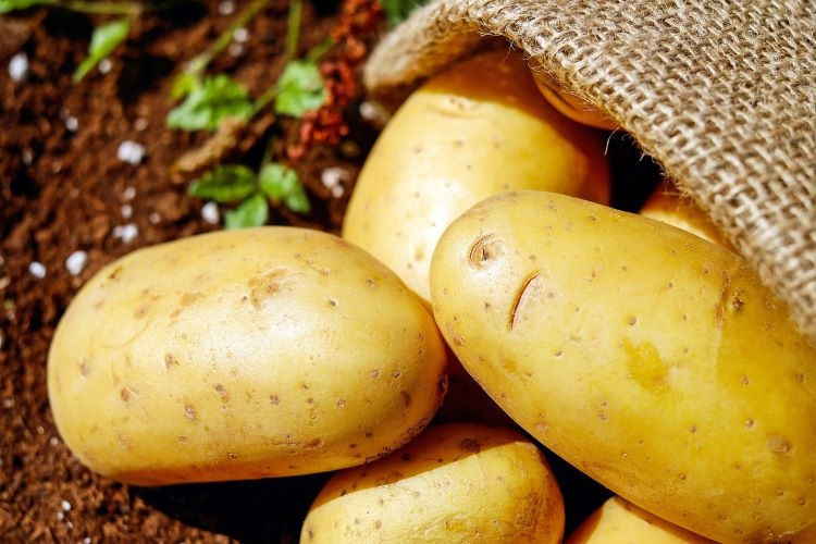 Patates