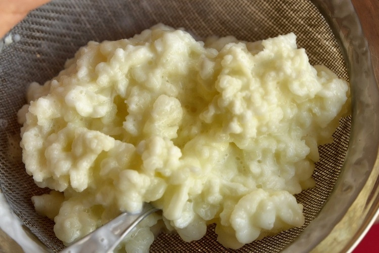 Kefir nasıl yapılır