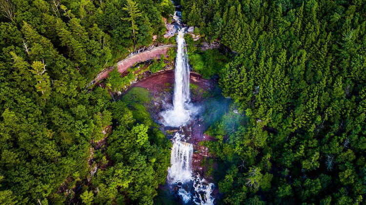 KAATERSKİLL ŞELALESİ / ABD